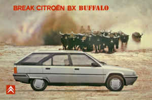 Citroen BX Break buffalo pub